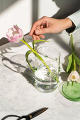 Agave Large Glass Container