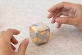 Tycho Brass & Steel Puzzle
