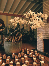 Adriatic Muscatel Sage Candle