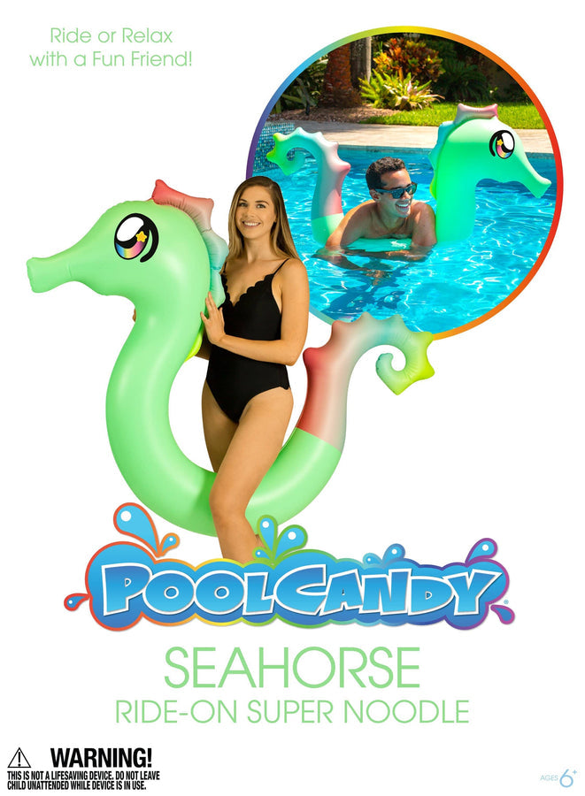Seahorse Ride On Pool Noodle