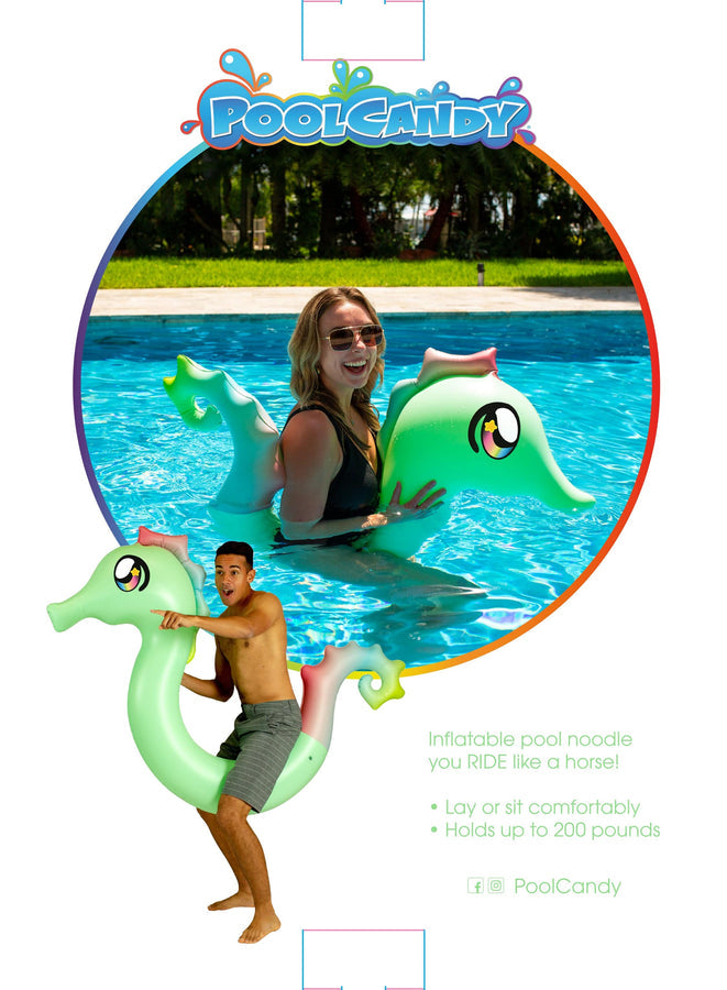 Seahorse Ride On Pool Noodle