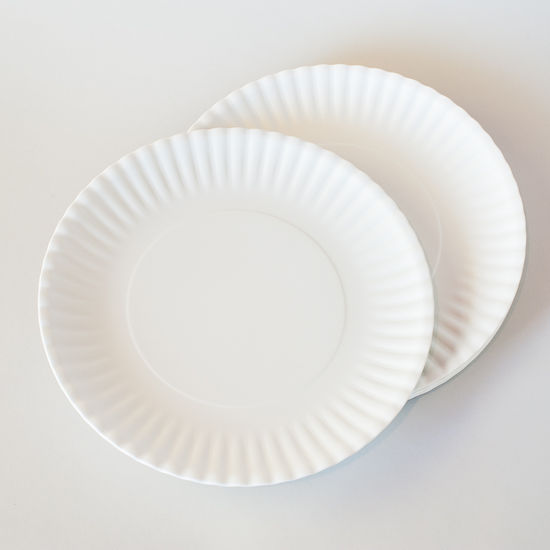Melamine "Paper" Plate Set: Large